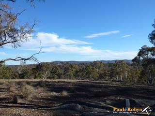 Clearing (2013-06-20)