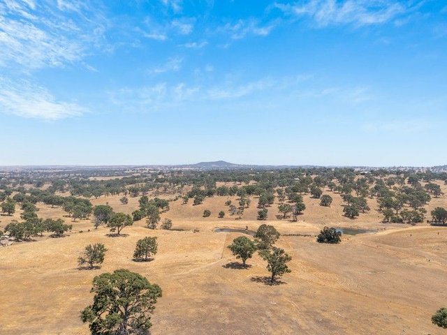 Lot 8 Hope Watts Road, SA 5252