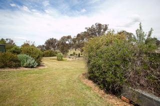 Backyard (2013-08-14)