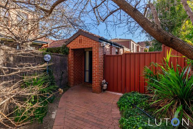 5/59 Torrens Street, ACT 2612