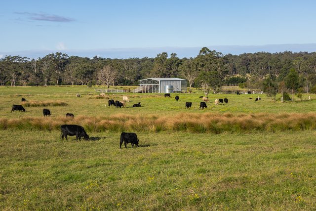 (no street name provided), NSW 2550