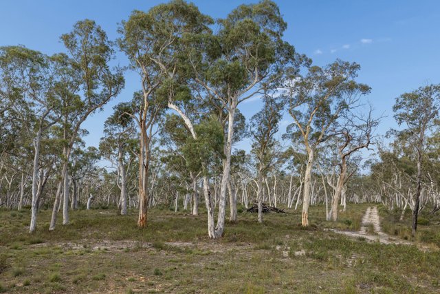 328 Wolgon Rd, NSW 2580