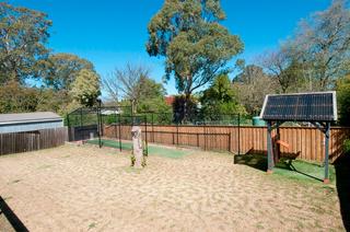 Cricket Practice Net