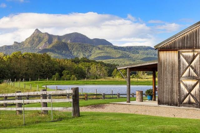 165 Limpinwood Valley Road, NSW 2484