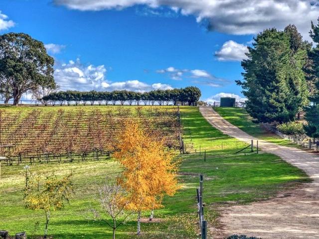 2222 Bylong Valley Way, NSW 2849