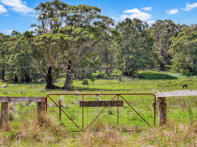 195 Halls Lane, NSW 2622