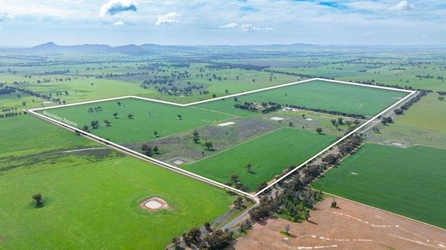 2791 Osborne Yerong Creek Road, NSW 2642