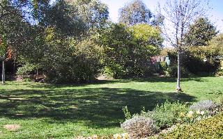 rear lawn