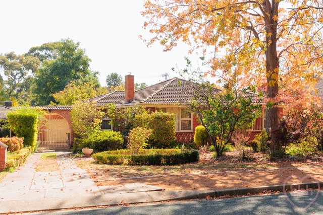 16 Ryan Street, ACT 2605