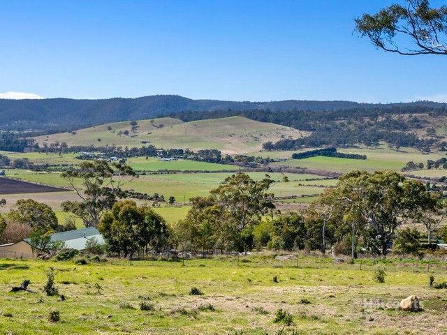 Lot 1/21 Jeannie Drive, TAS 7172