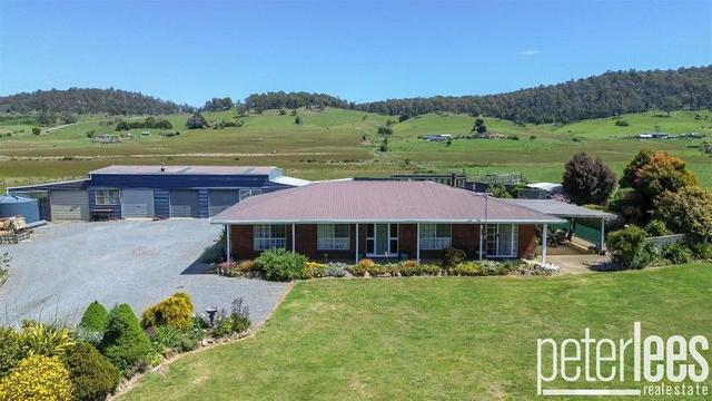 166 Stokes Lane, TAS 7277