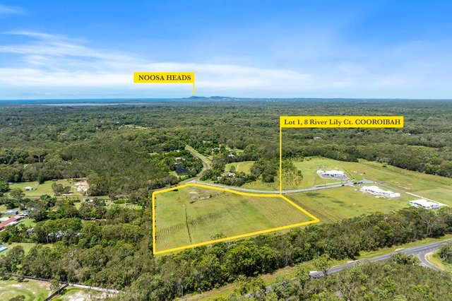 8 River Lily Court, QLD 4565