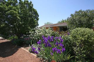 Front garden