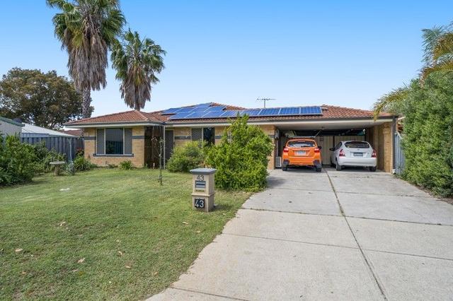 43 Waterlily Drive, WA 6056