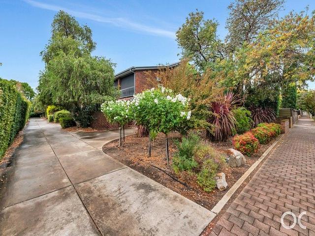 4/22 Park Street, SA 5061