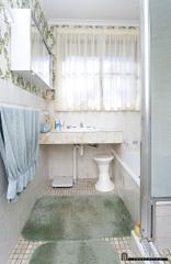 Bathroom (2009-07-23)