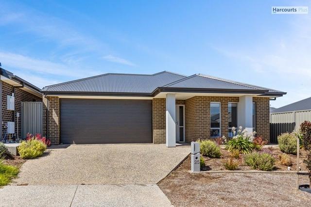 25 Harrison Street, SA 5169