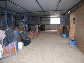 Stables 