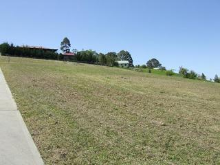 Standard Photo (2010-11-05)