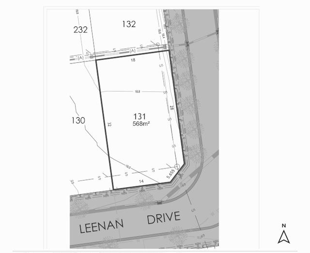 Lot 131 Leenan Drive, NSW 2322