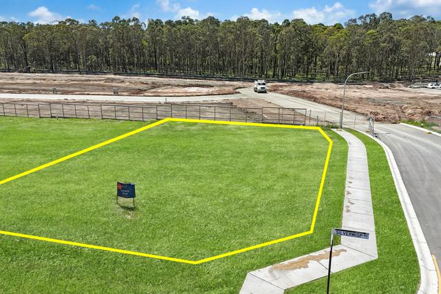 2 Silverwisp Road, NSW 2322