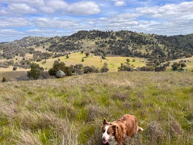 Lot 3 Tarrants Gap Road, NSW 2808