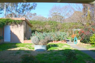 Backyard and Shed (2015-07-29)