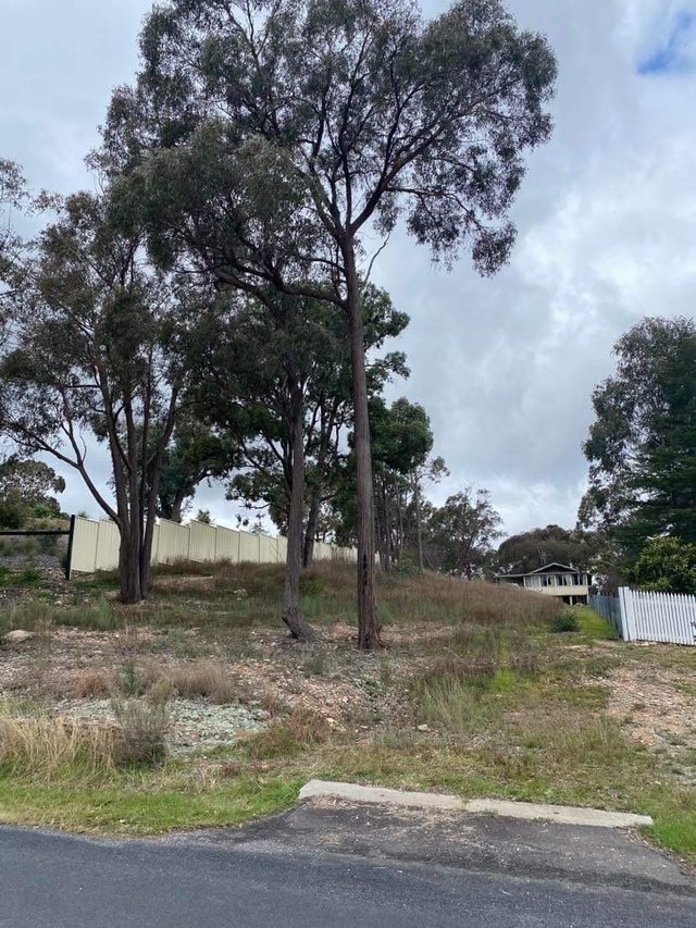 Real Estate for Sale in Rylstone, NSW 2849 Allhomes