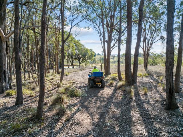 "Sheldricks Range" Sheldricks Lane, NSW 2582