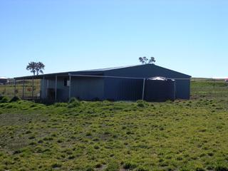 Rear of Shed
