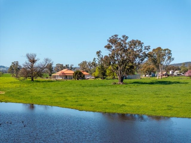 25 Wrigleys Road, NSW 2650