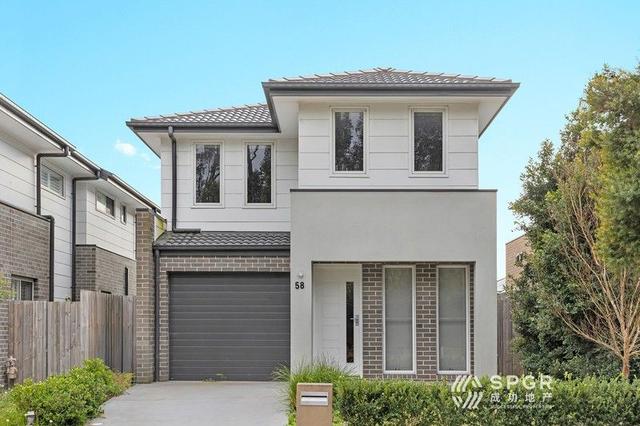 58 Avocet Circuit, NSW 2765