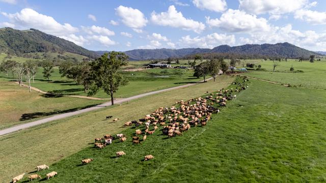 846 Toms Creek Road, NSW 2446