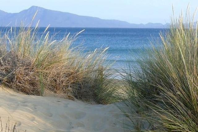 736 Dolphin Sands Road, TAS 7190