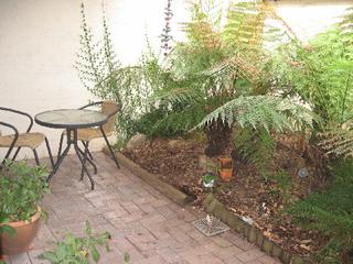 Front Fernery