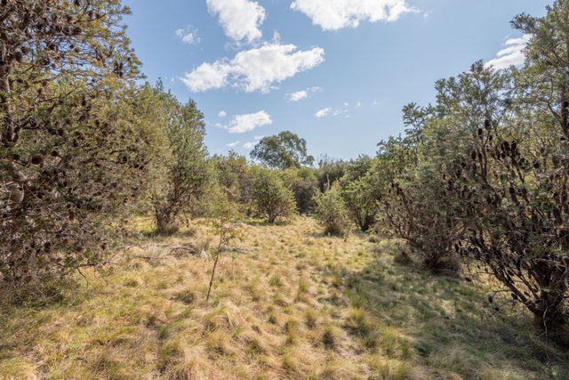 153 Blue Bush Road, NSW 2622