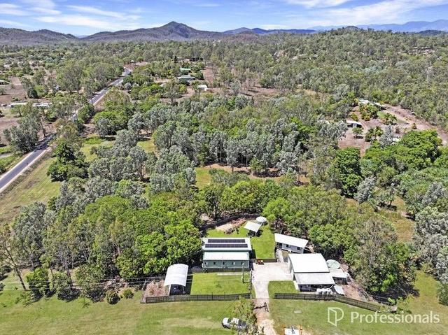 384 Midge Point Road, QLD 4799