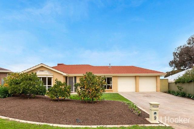 9 Churchman Court, SA 5118