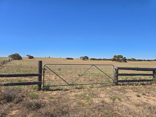 Lot 23 Billiatt Road, SA 5302