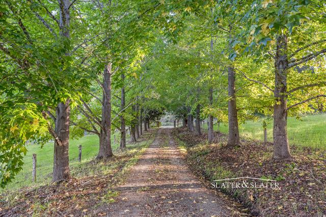 1216 Bellangry Rd, NSW 2446