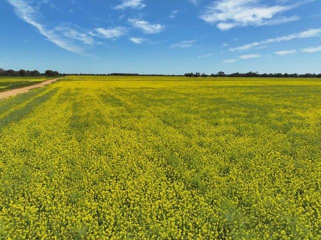 Lot 1 Coughlins Road, VIC 3558