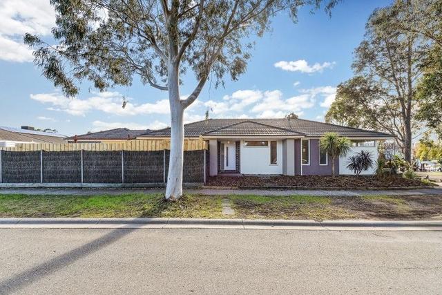 12 Meditate Lane, VIC 3977