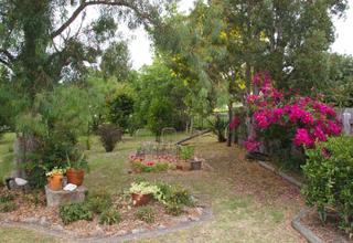 Garden (2008-01-08)