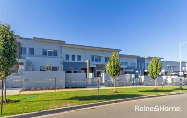 6B Avenal Street, ACT 2911