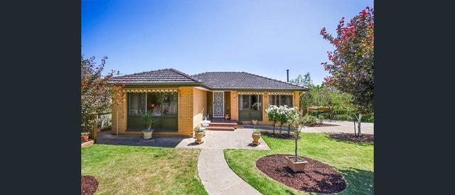 20 Brandon Terrace, SA 5049