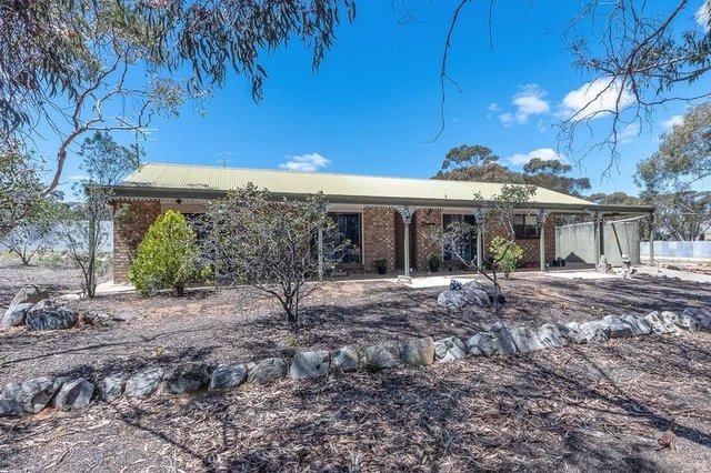 6 Angus Street, SA 5307