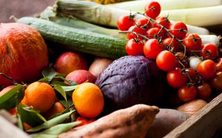 Kingston farmers market (2016-10-12)