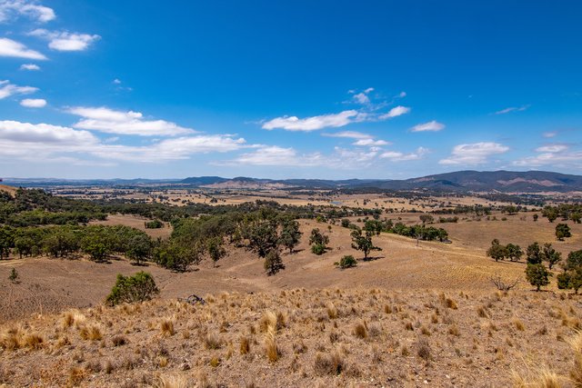 856 Spring Flat Road, NSW 2850