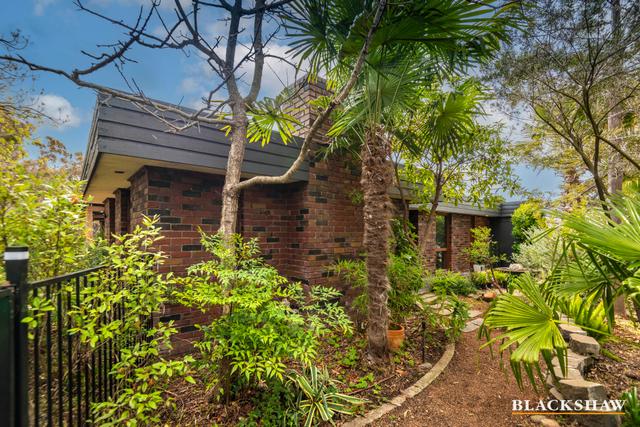 8 Clare Place, ACT 2904