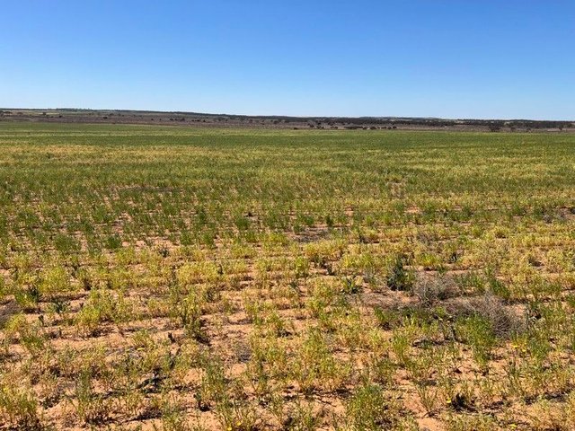 752 Greenways Road, SA 5238